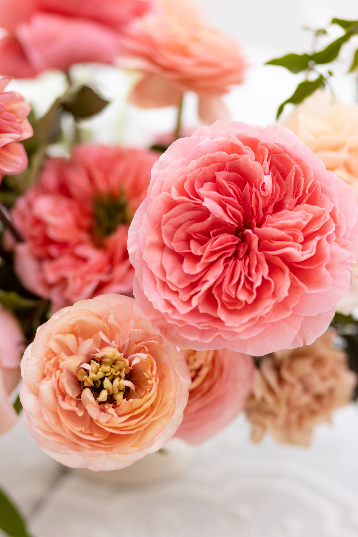 Caroline and Clemens Wedding - Natalie Probst Photography0768