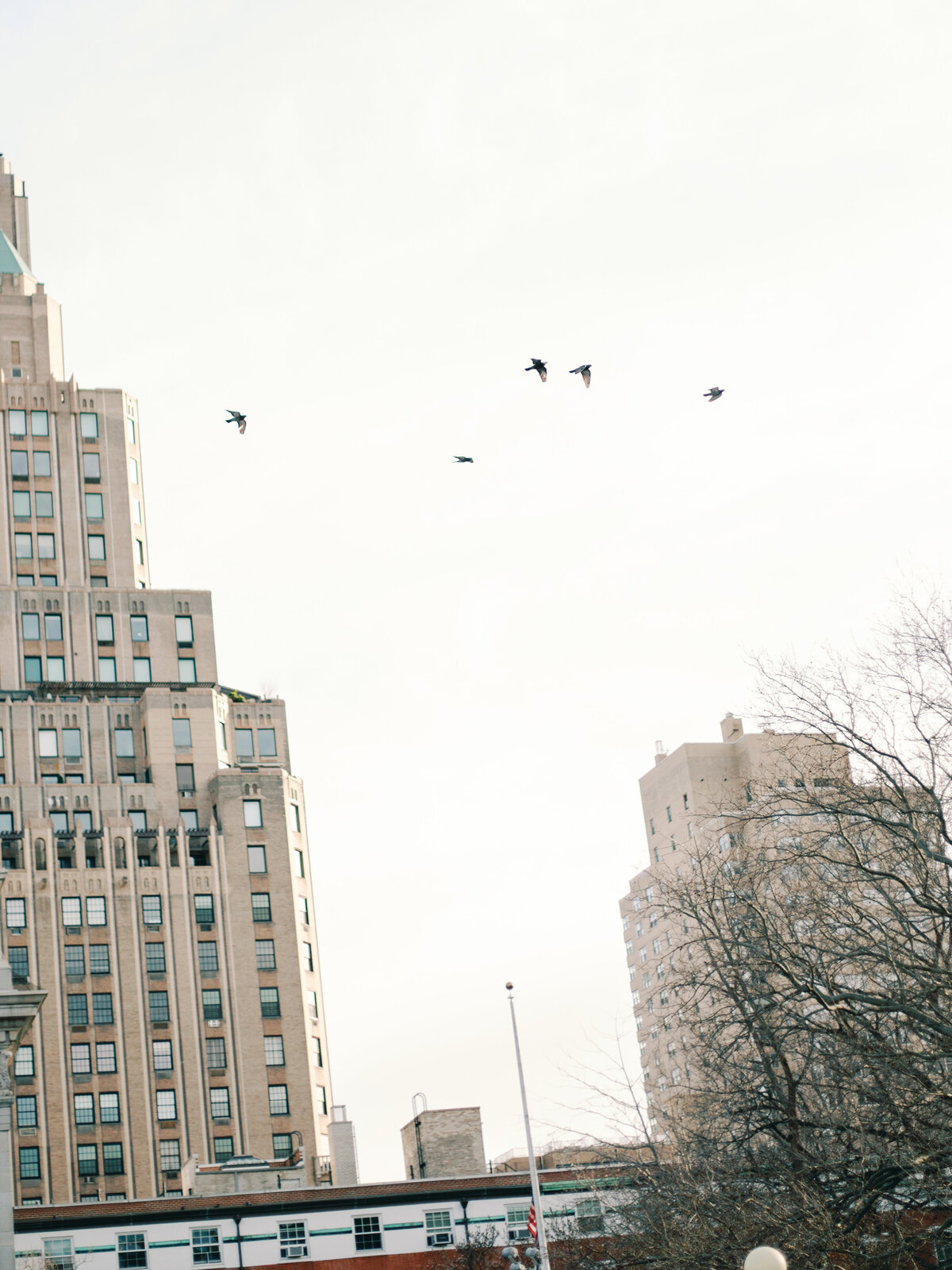 E+J_New York City_Luxury_Engagement_Photo_Washington DC_Skyler Jordan Photography-106