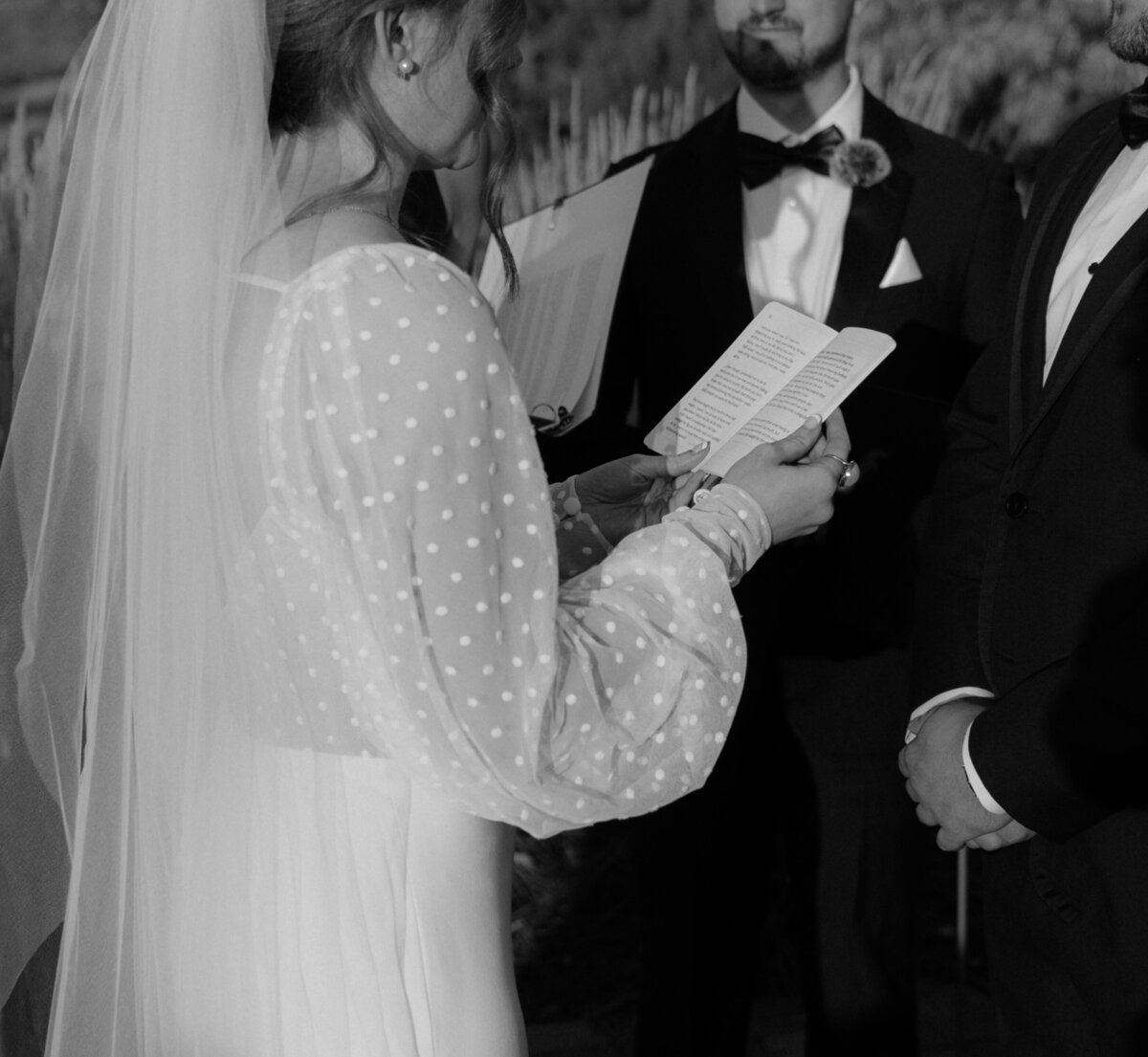 Client Gallery DSC00893