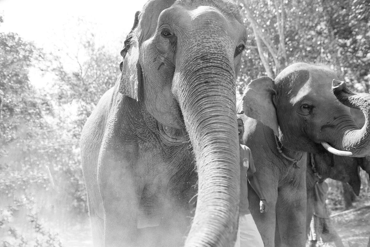 2017July-ChiangMai-Phuket-Thailand-0350