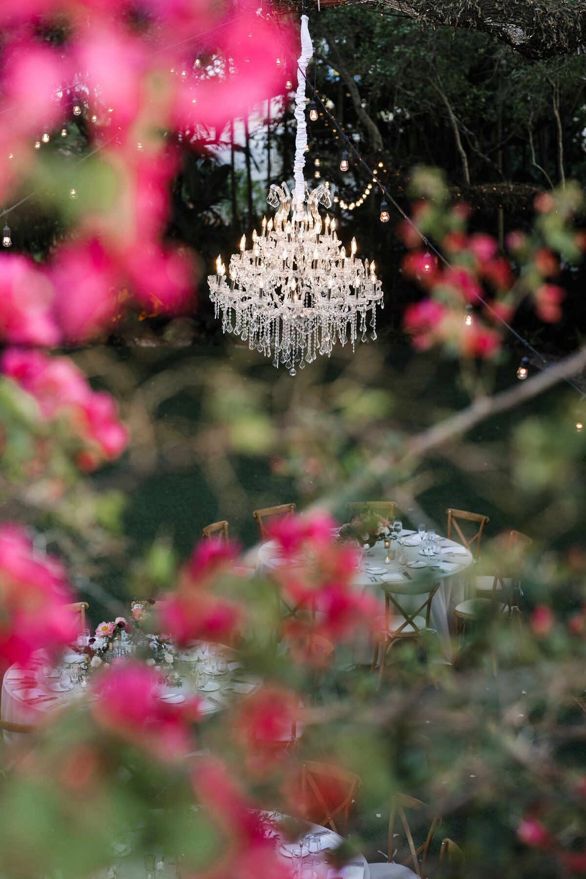 Villa-Woodbine-Chandelier