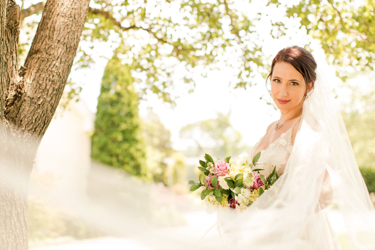 bride with swooping veil