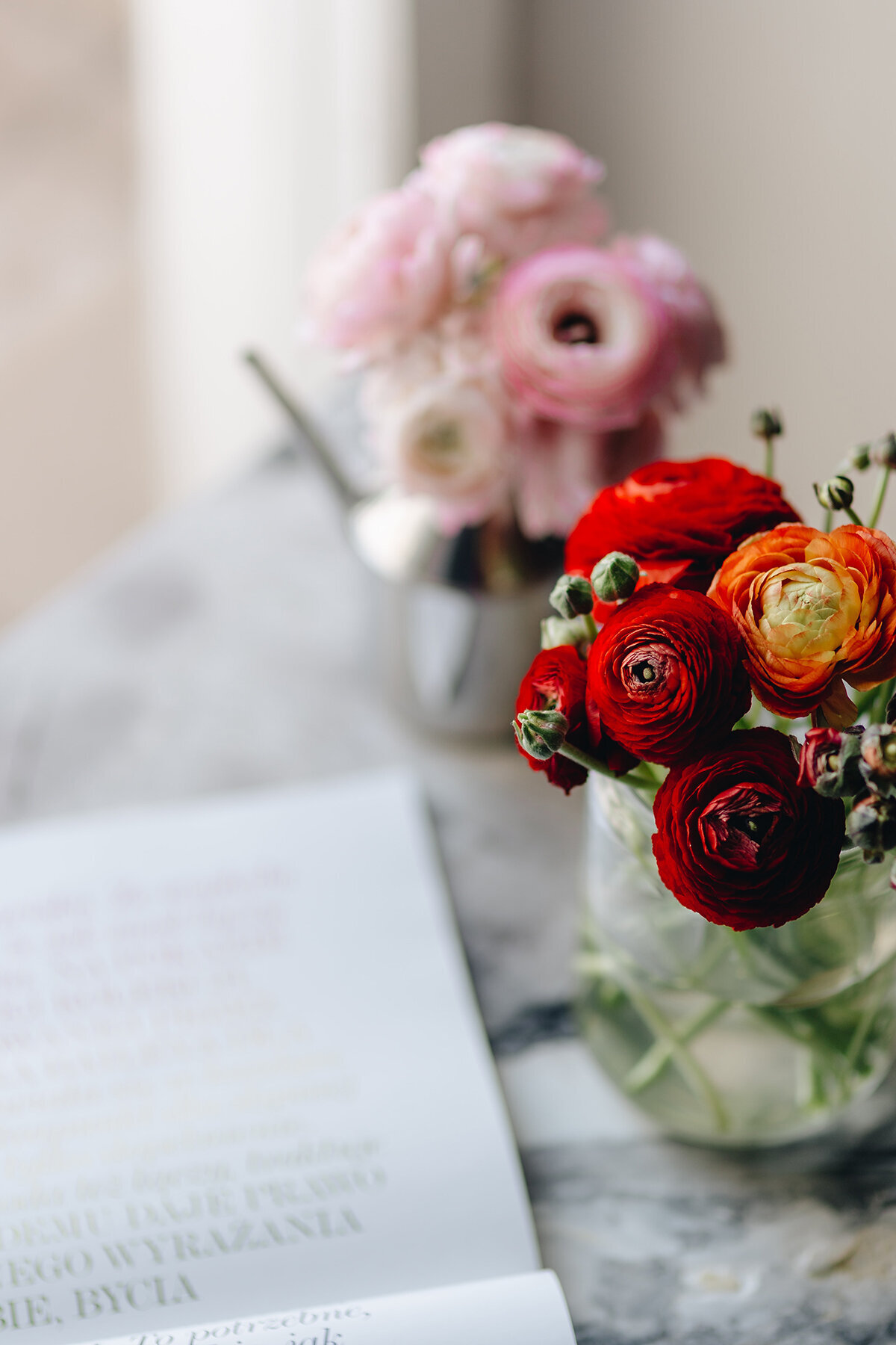 kaboompics_lovely-red-and-pink-buttercup-flowers-7716