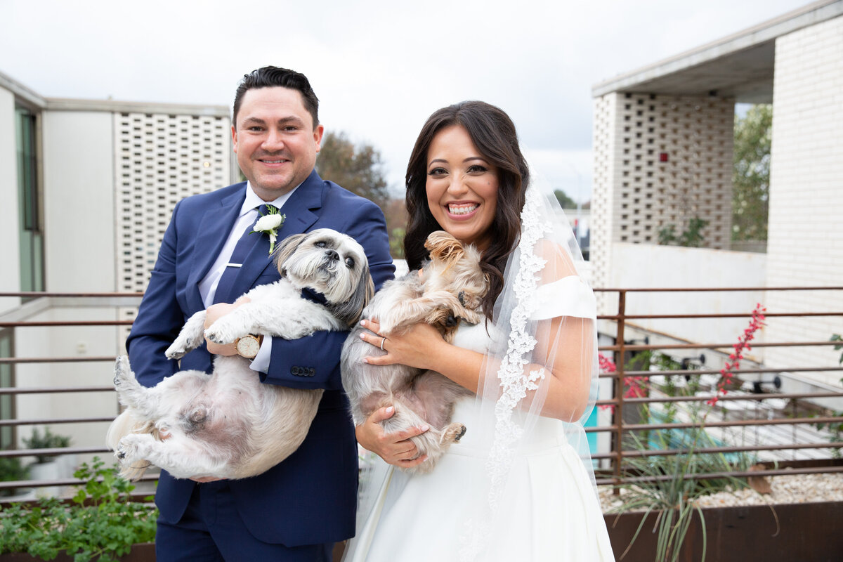 A bride and groom holding their dogs on a rooftop captured by an Austin wedding photographer.