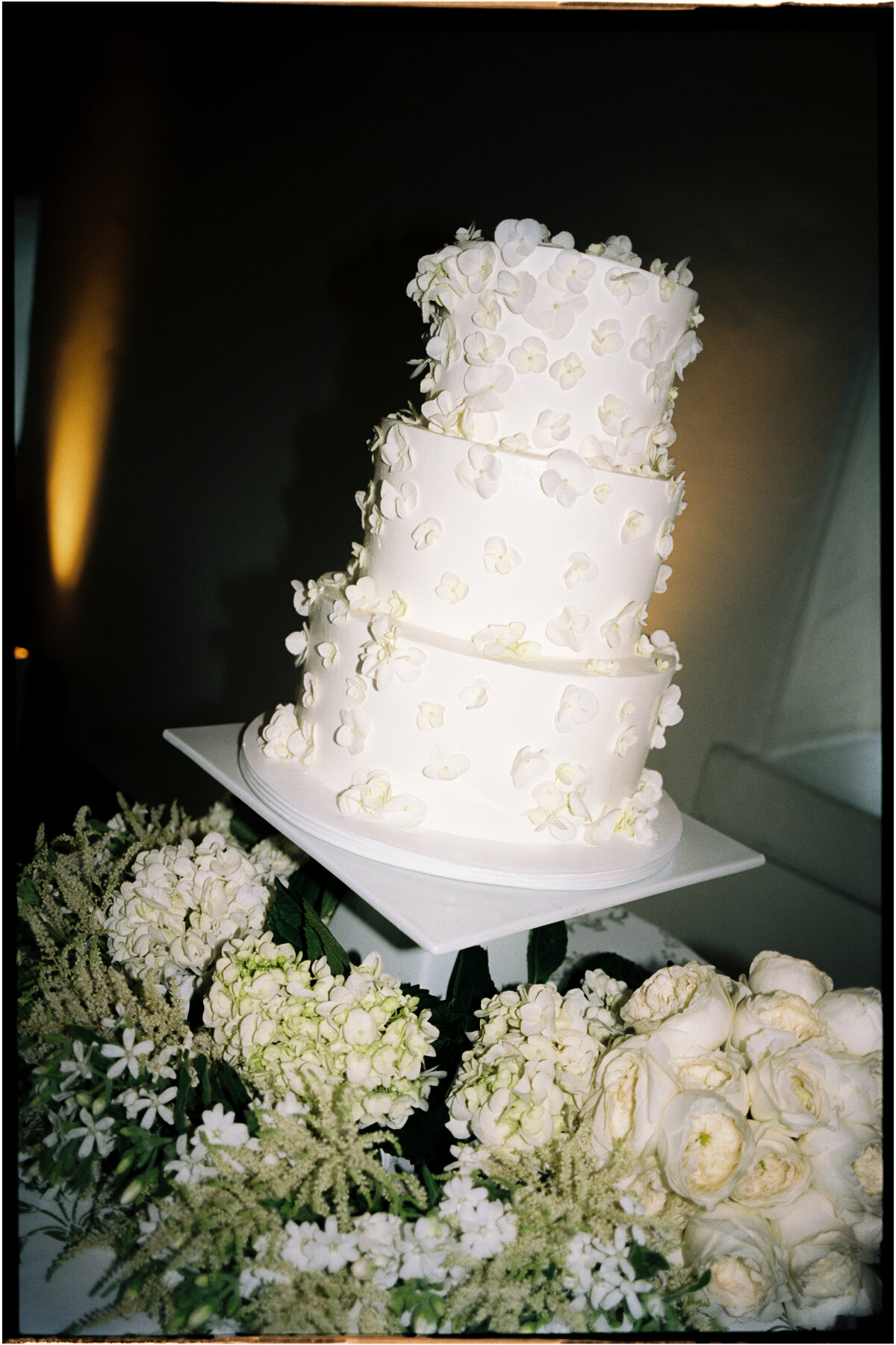 DearVincent_Tyler Speier Events-film-6