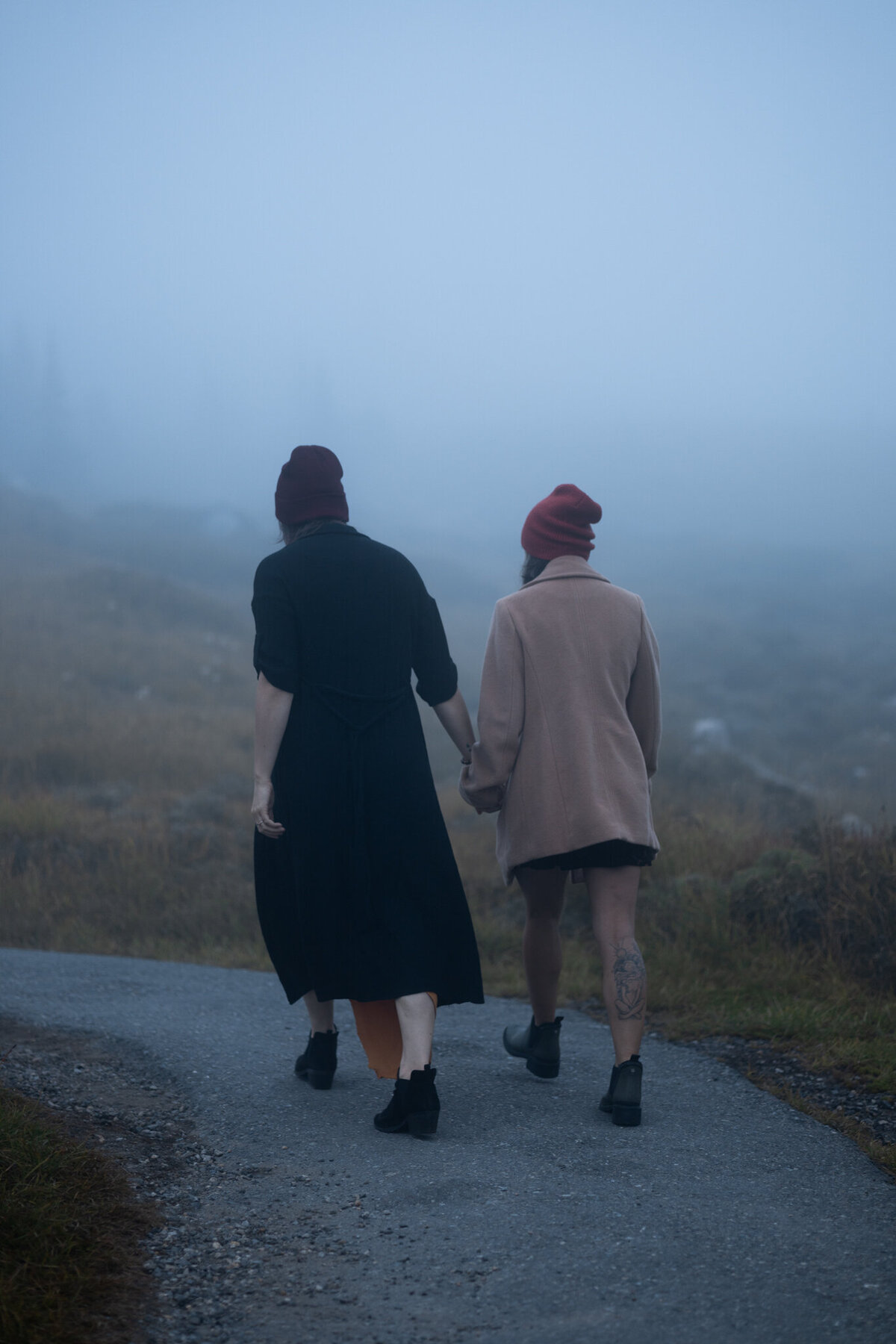 Mount Rainier Elopement