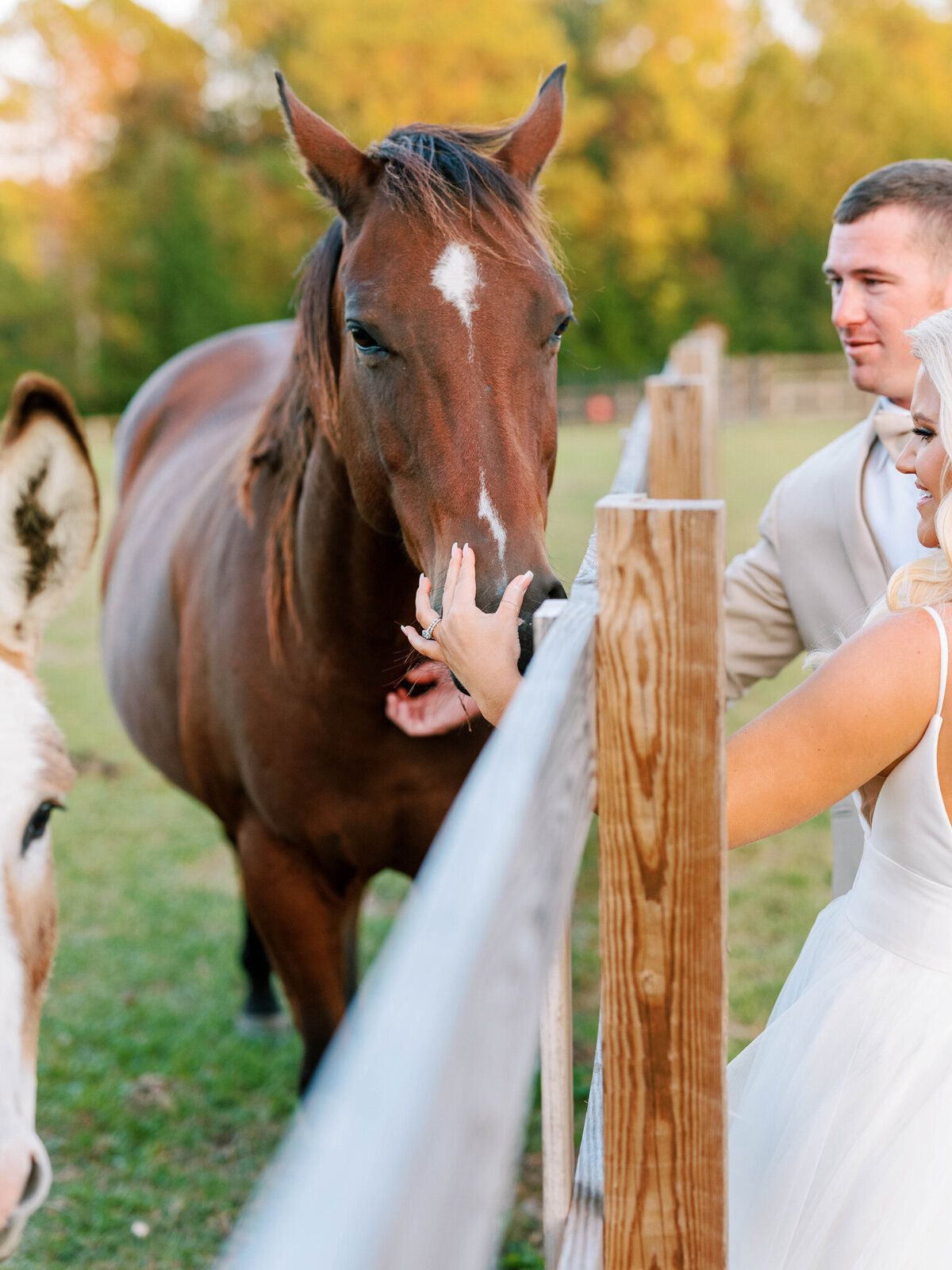 Cali & Caleb Wedding-865