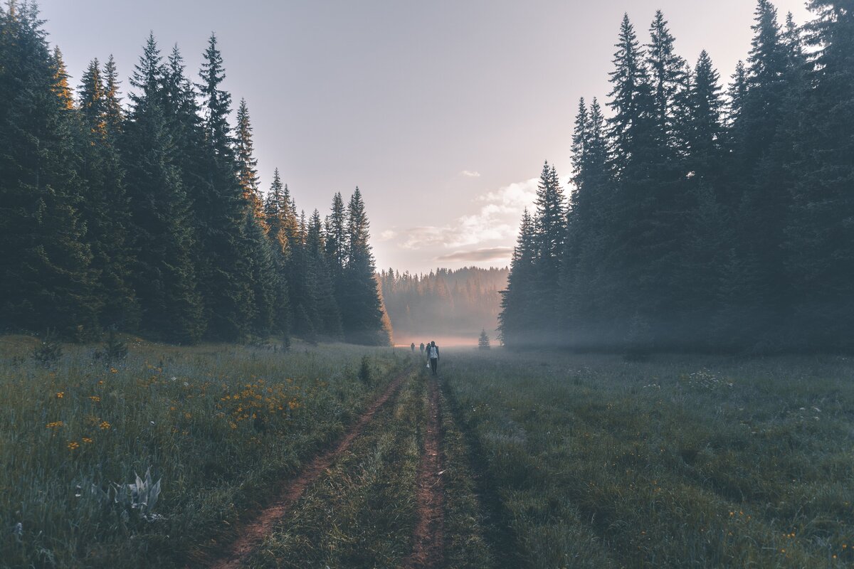 vasko-hristov-snTSiqI6nVU-unsplash