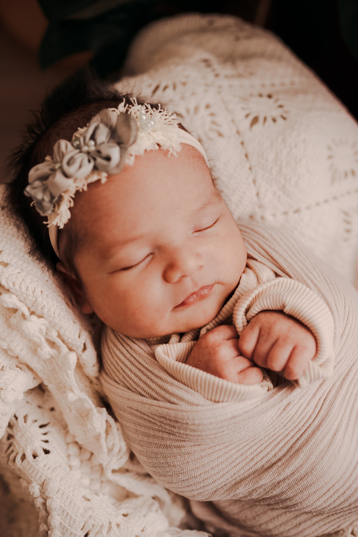 frederick-newborn-bismarck-studio-14