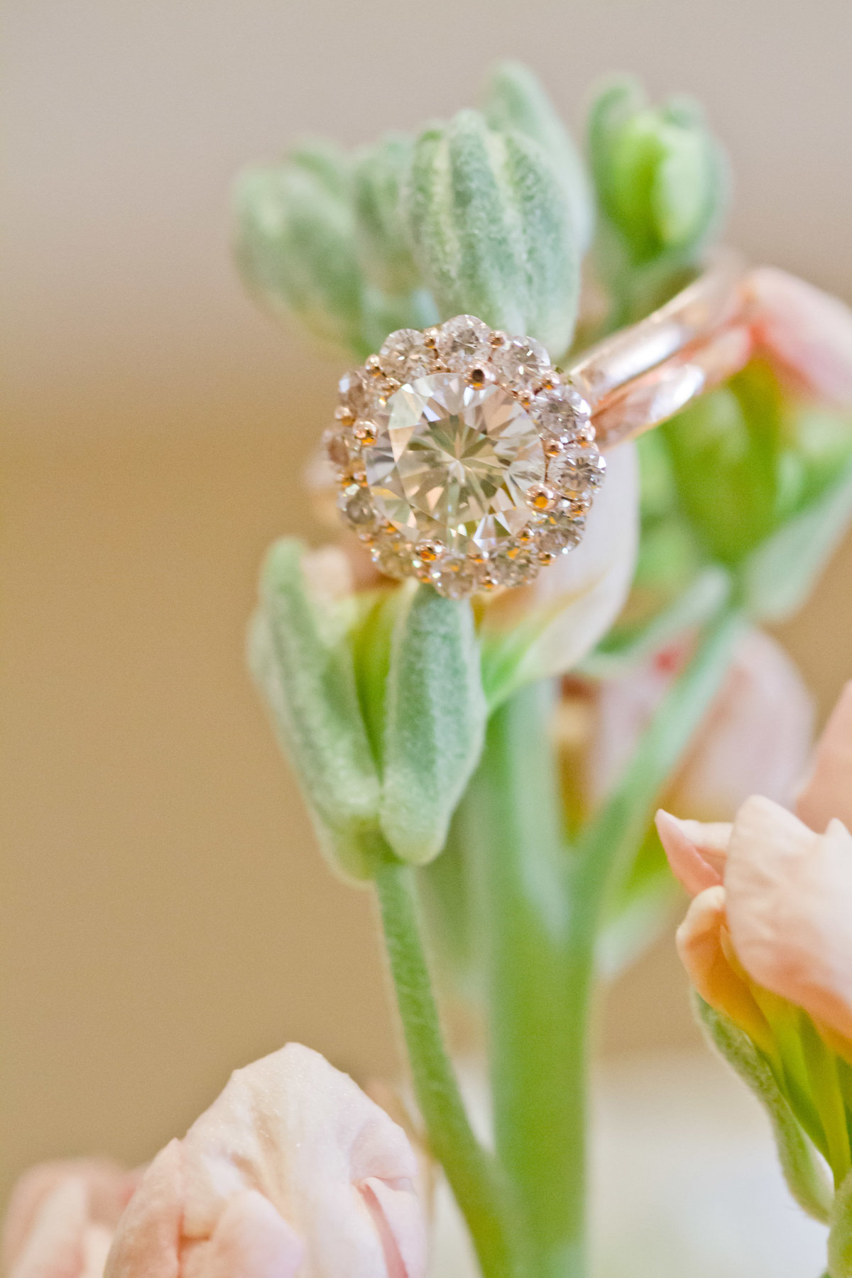 Rose gold engagement ring