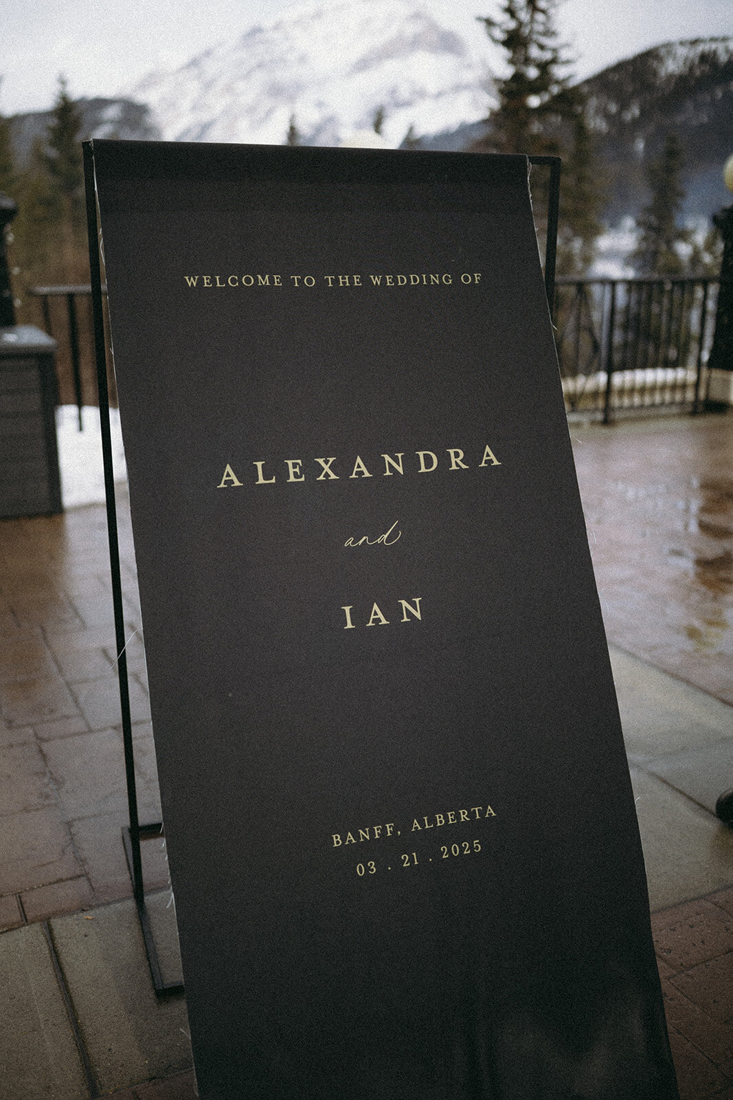 alex&ian-banff-springs-wedding-4O2A8575_websize