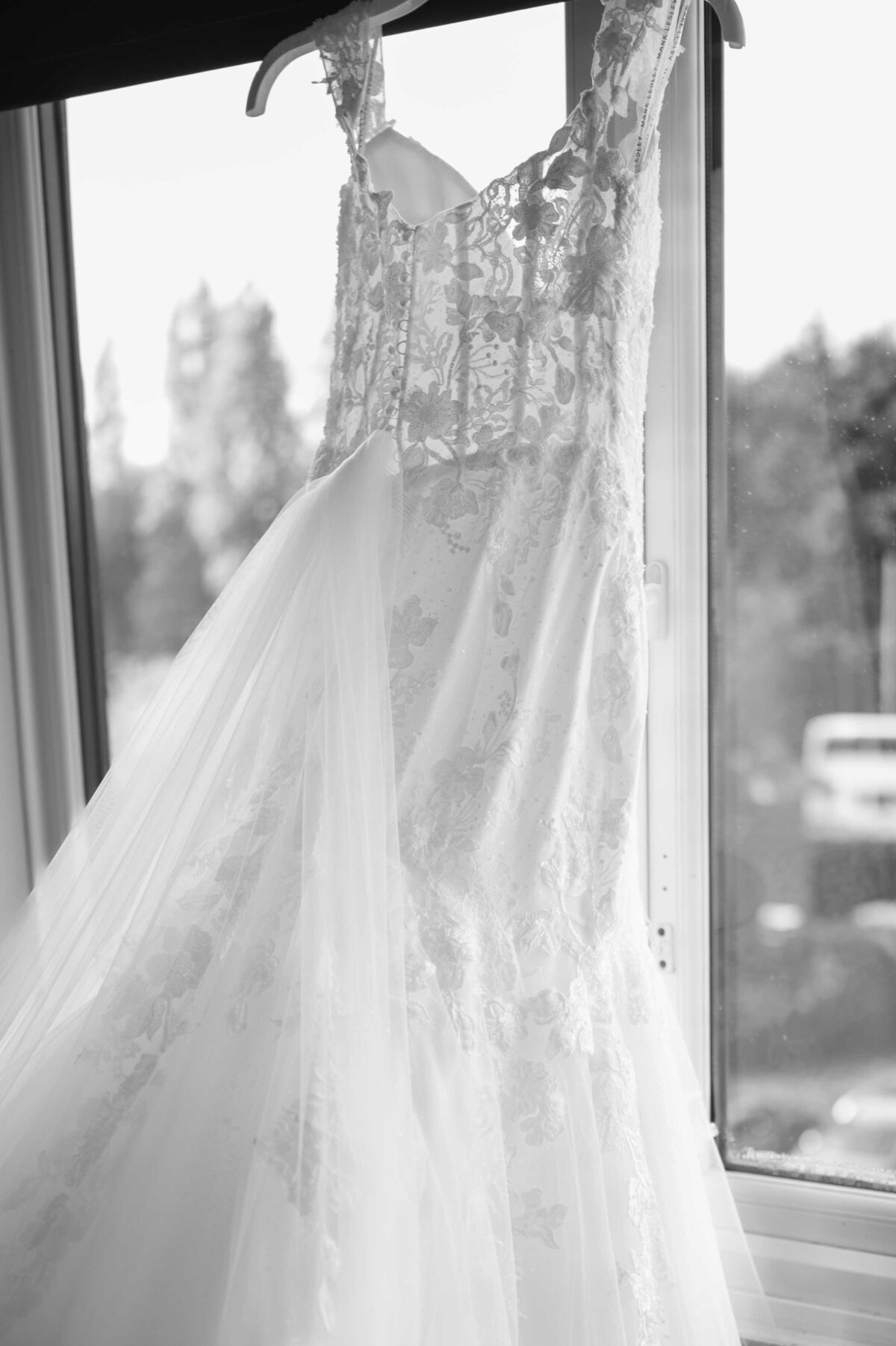 Carmen Sherred Photography-7