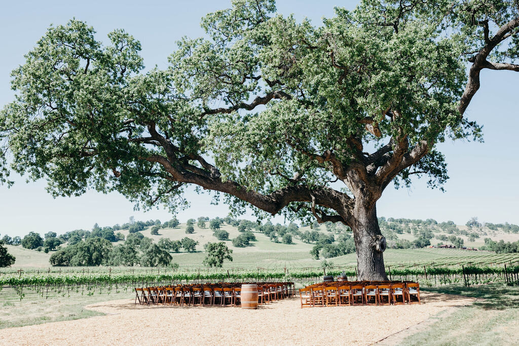 Rancho Victoria Vineyard Wedding 21