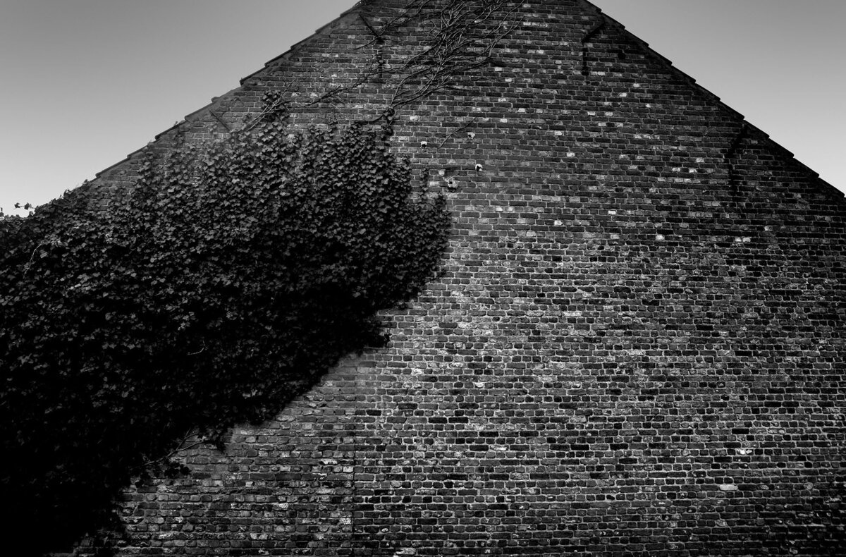 Bart Van der Moeren - De Stille Kempen - 026