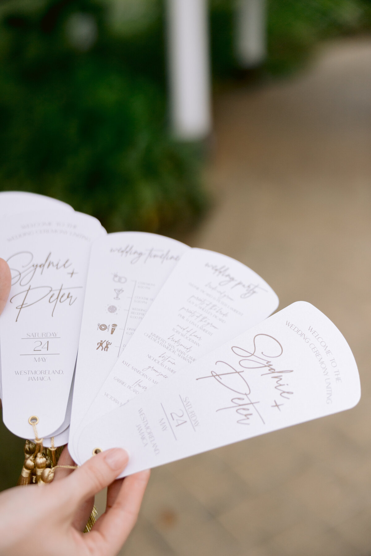 SydniePetersWedding_1098