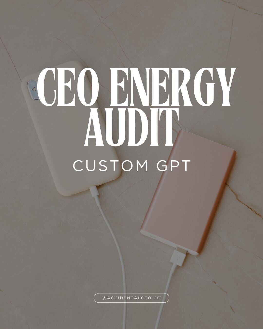 CEO energy audit bot