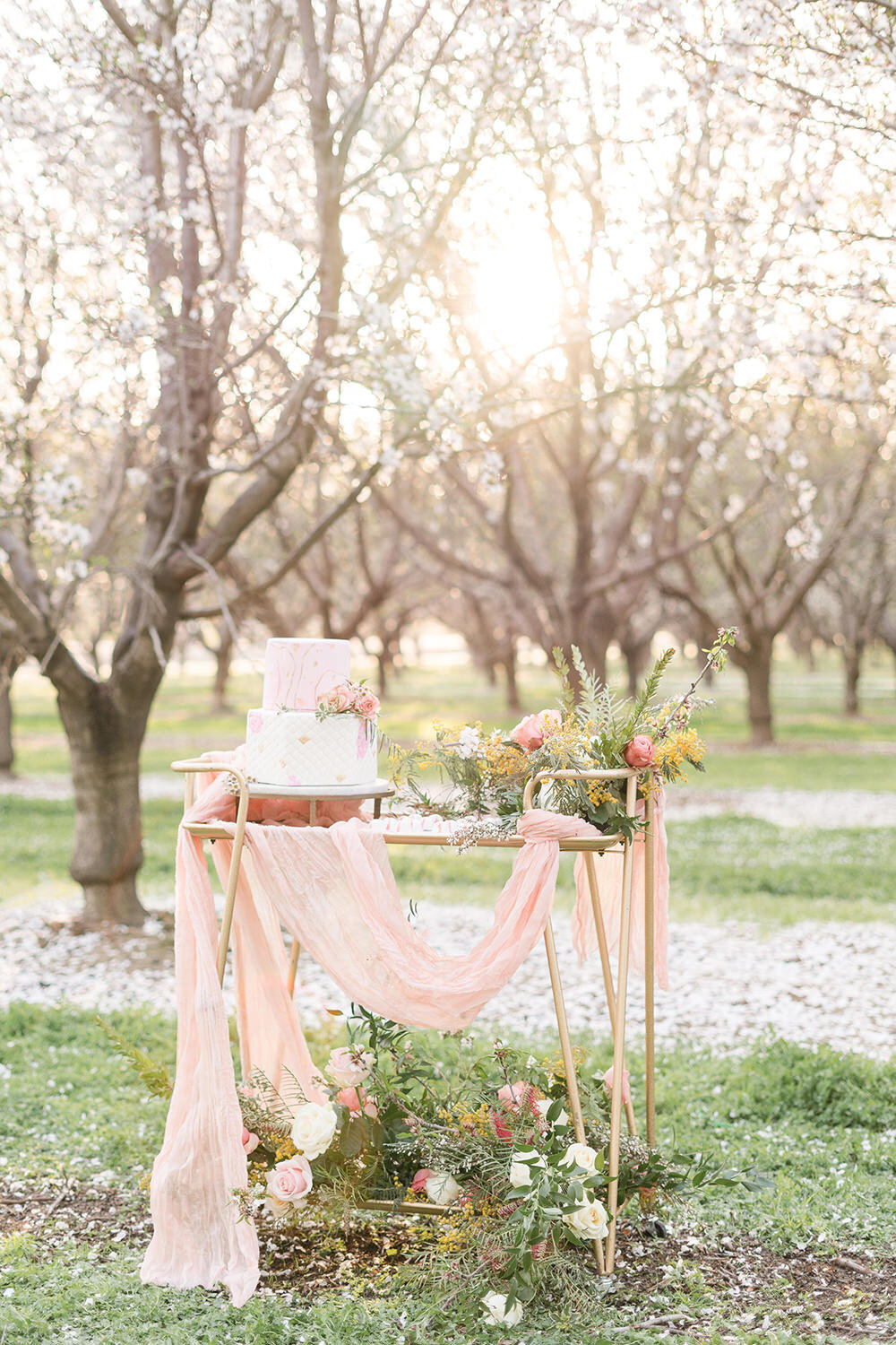 california-almond-blossom-wedding-020