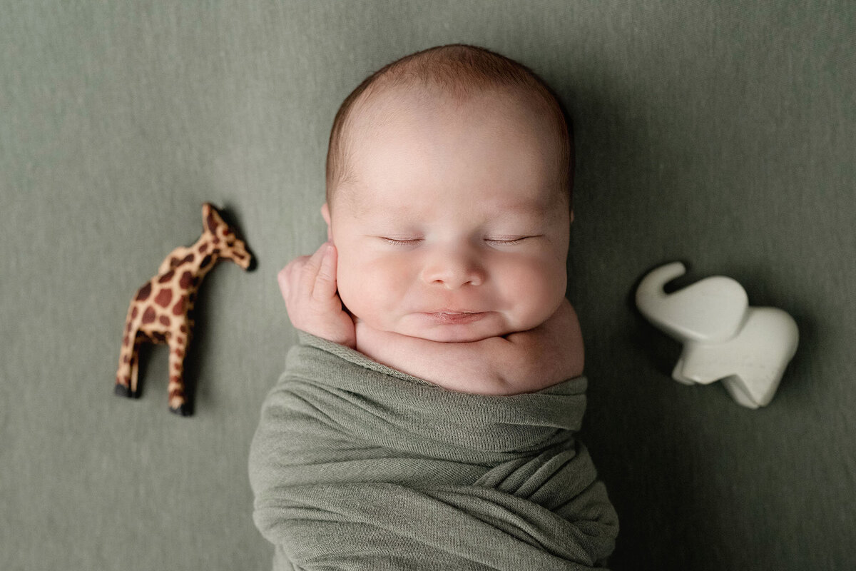 A giraffe and elephant toy lay on a bed next to a smiling sleeping newborn