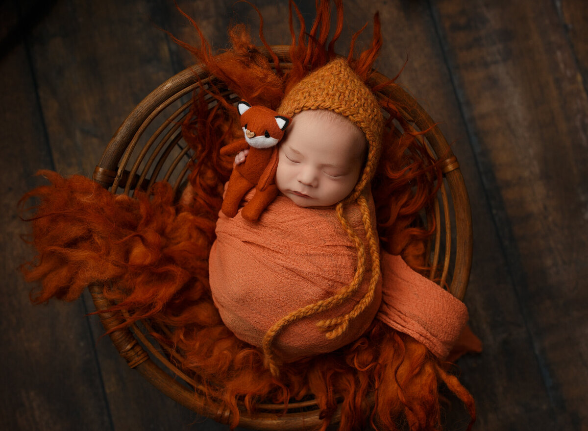 Provo-newborn-photographer-8