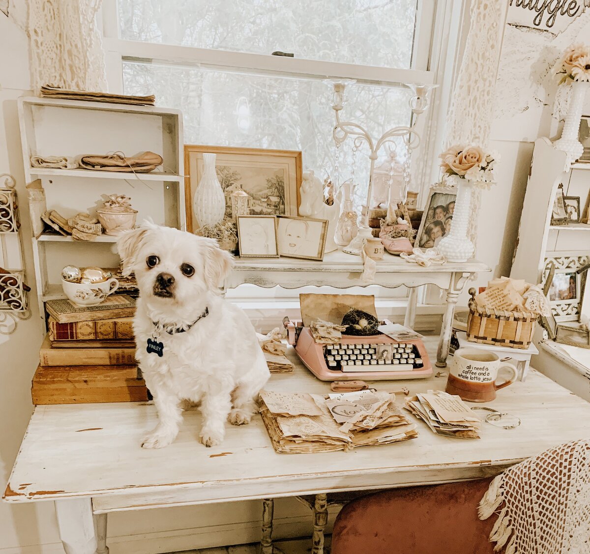 fin at desk