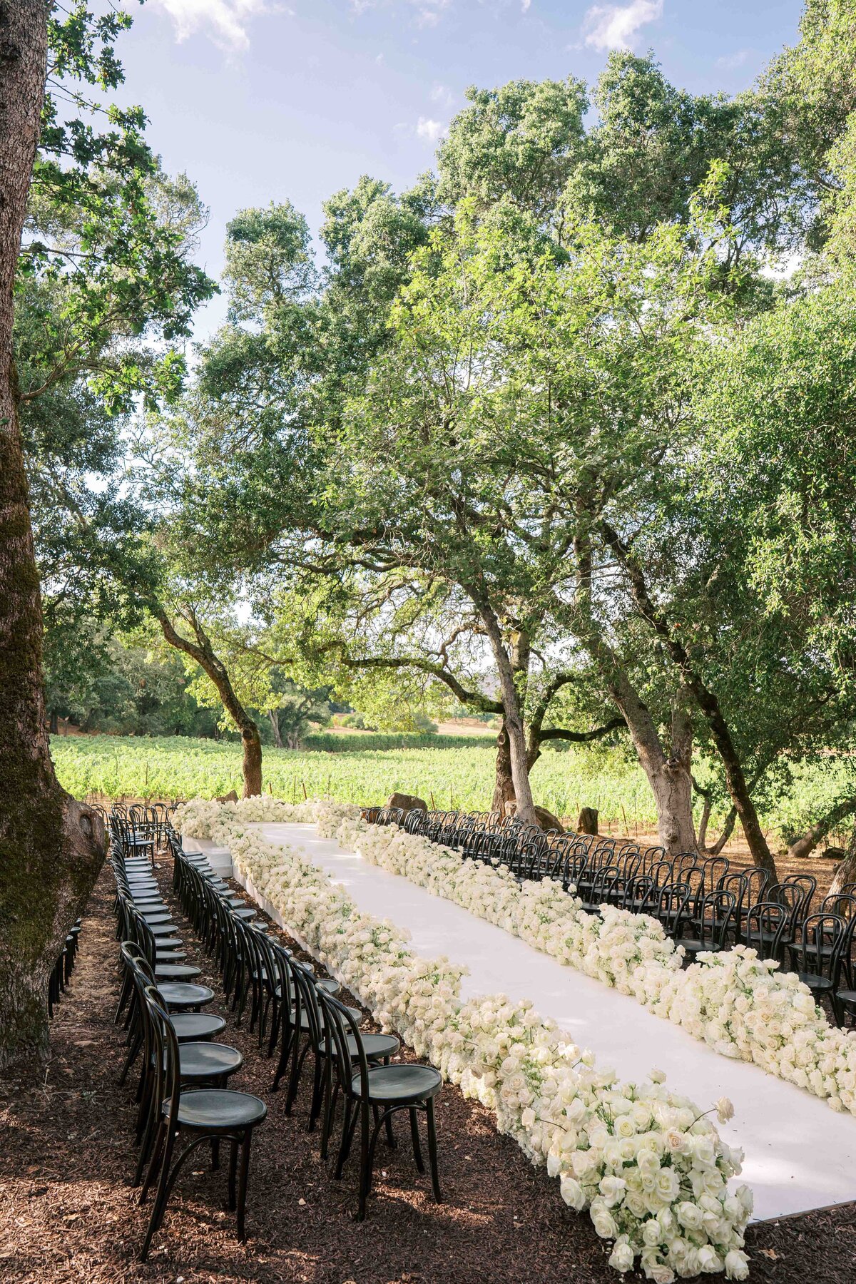 WILLOW-BEN-WEDDING-NAPA-PHOTOGRAPHER-22