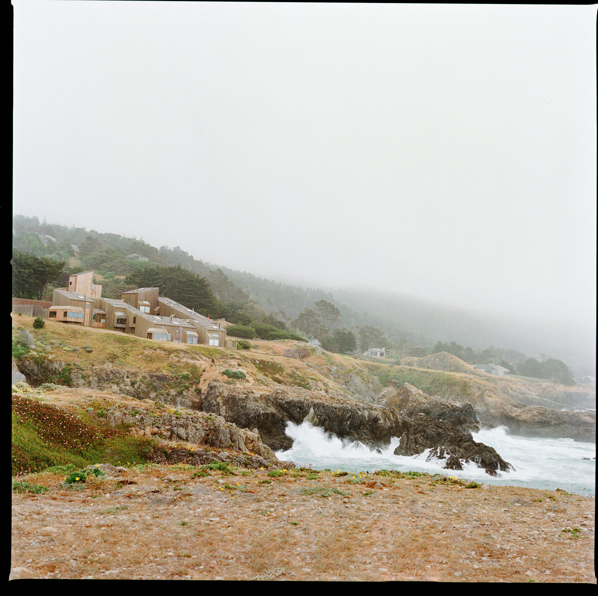 KIMGO_18