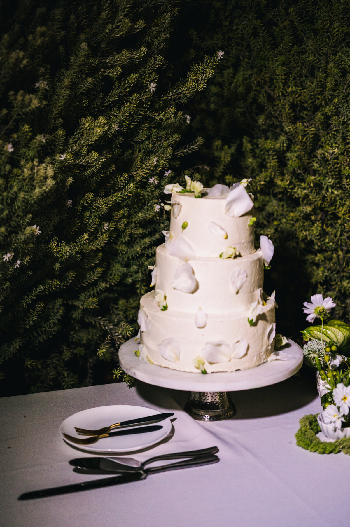 mindydakotawedding-631 (1)