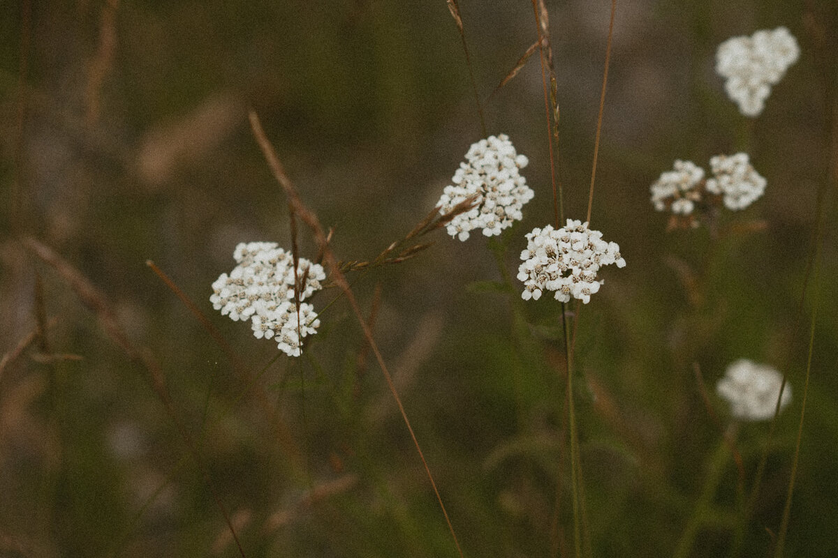 ankebi-photography-1-2