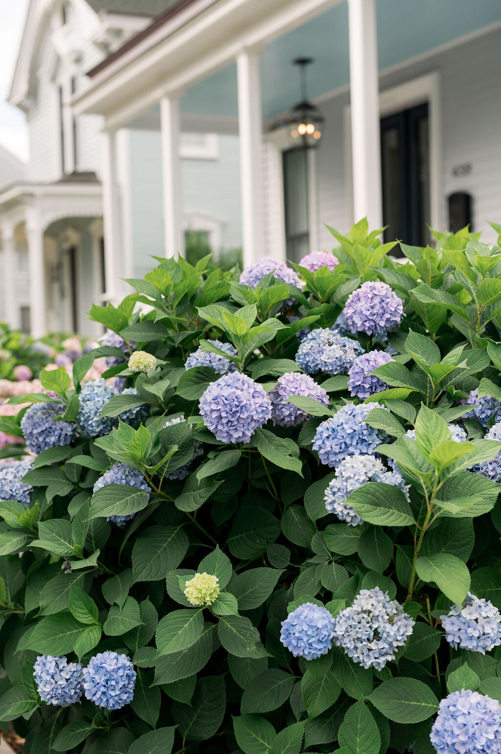 Shelter-Island-Wedding-Planner-Tented-Wedding-7