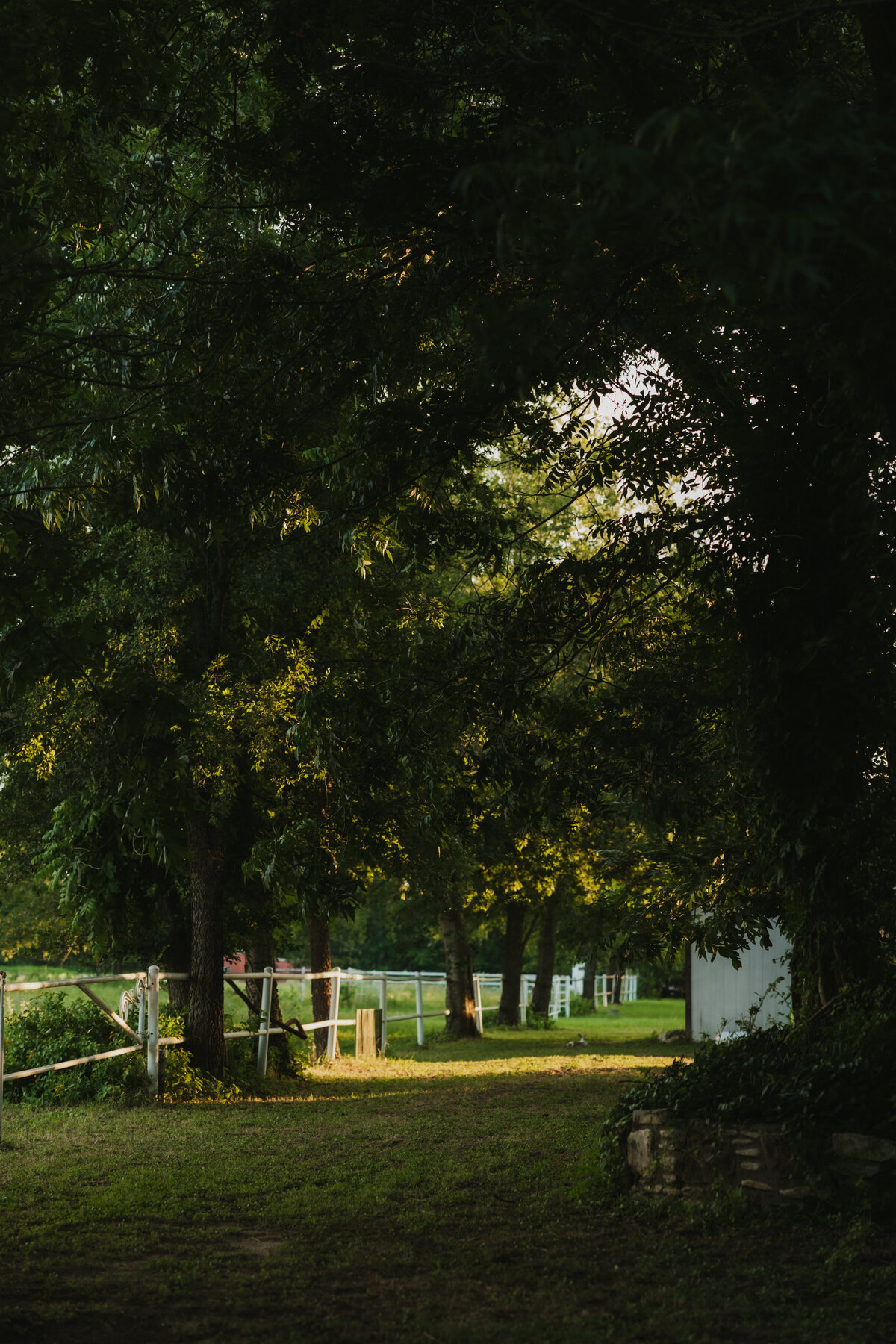 Abby Heron Photography Texas Based and Travel Wedding and Couples Photographer — Wedding Gallery for Ethan + Lily 48