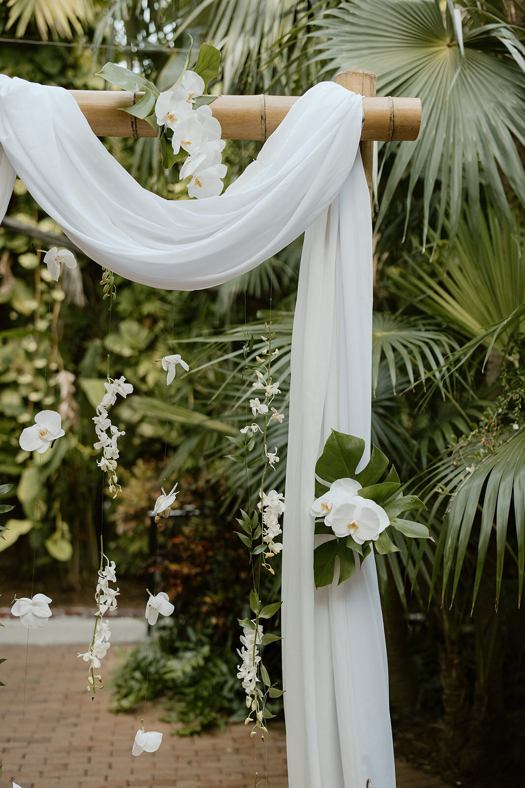 Hemingway House, Key West Wedding Venues, Key West Wedding, Key West Wedding Planner, Hemingway Home, Little Miss Planner, Rachel Fosbenner, Milan Events, Catered Affairs Key West, Kiss Me Entertainment, 2