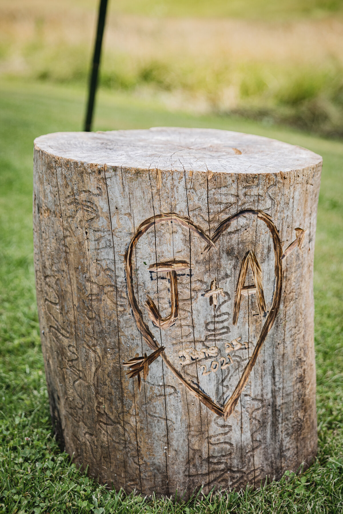 Abby + Jarod (28)