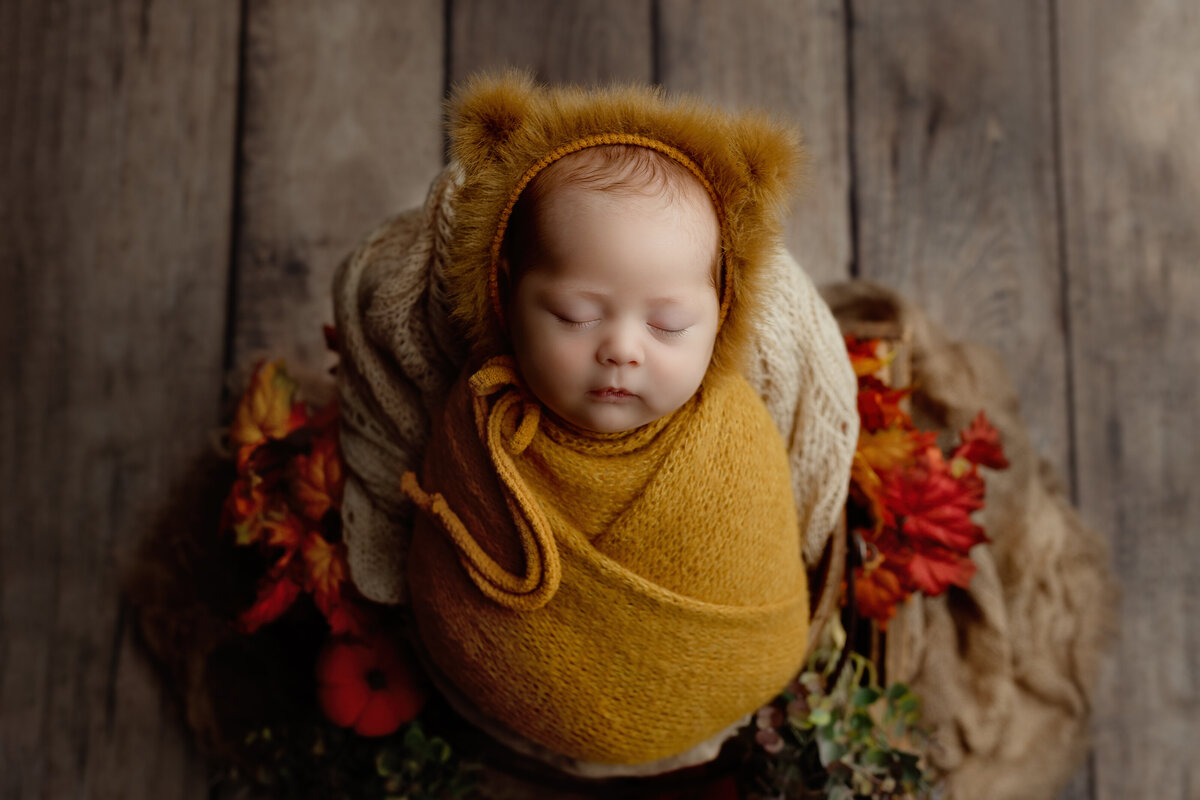 A newborn baby wrapped in a cozy mustard-colored outfit with a bear bonnet, peacefully sleeping in an autumn-inspired setting—captured in a timeless newborn photography session in Paris, Ontario.