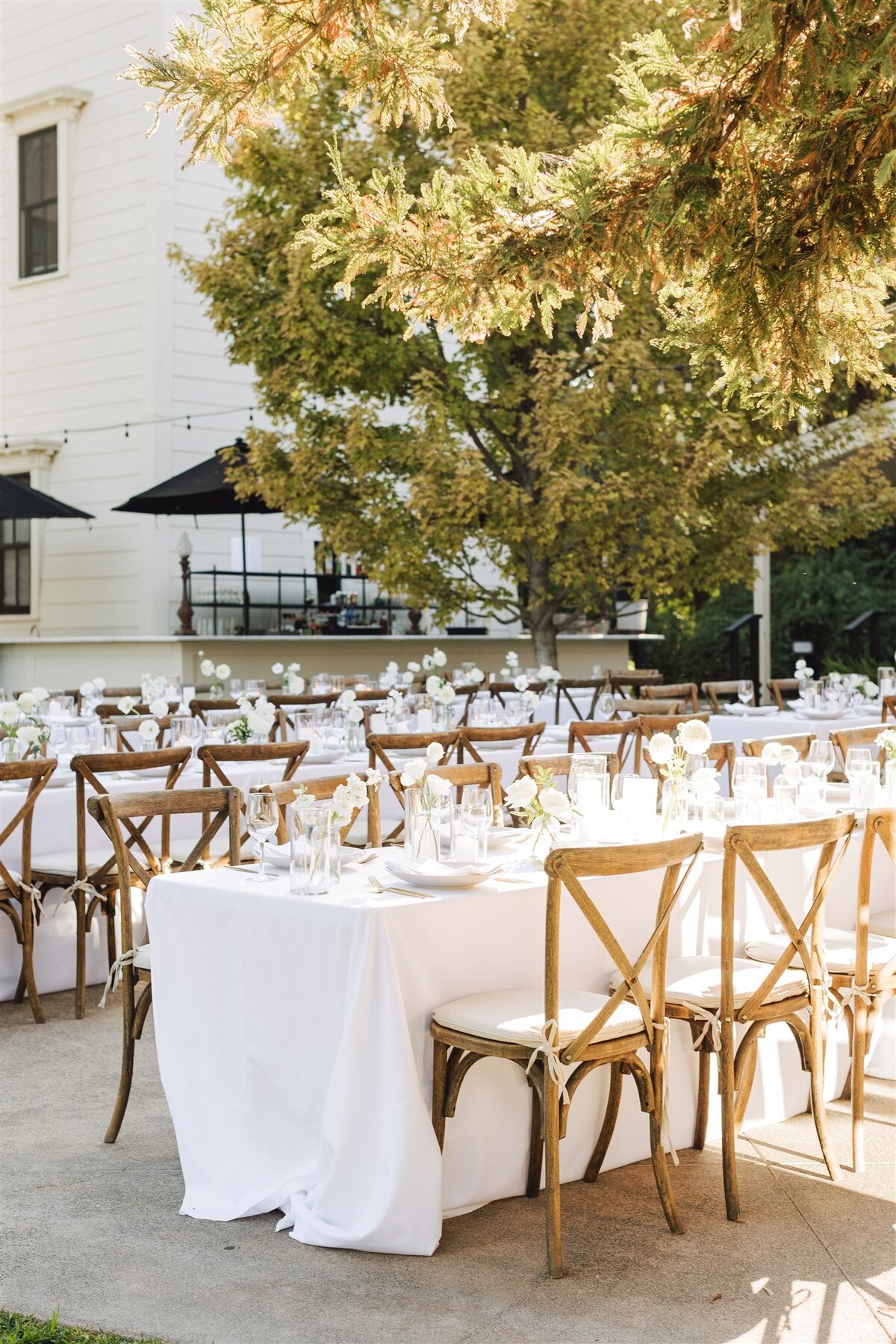 park-winters-wedding-shauna-clay-ashley-carlascio-photography-0435