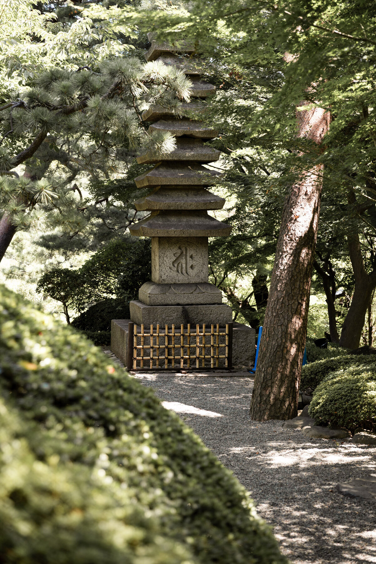 Japan for Website-17