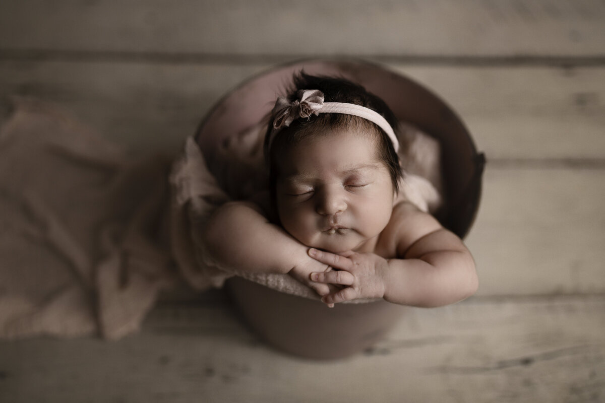 salado texas newborn photographer