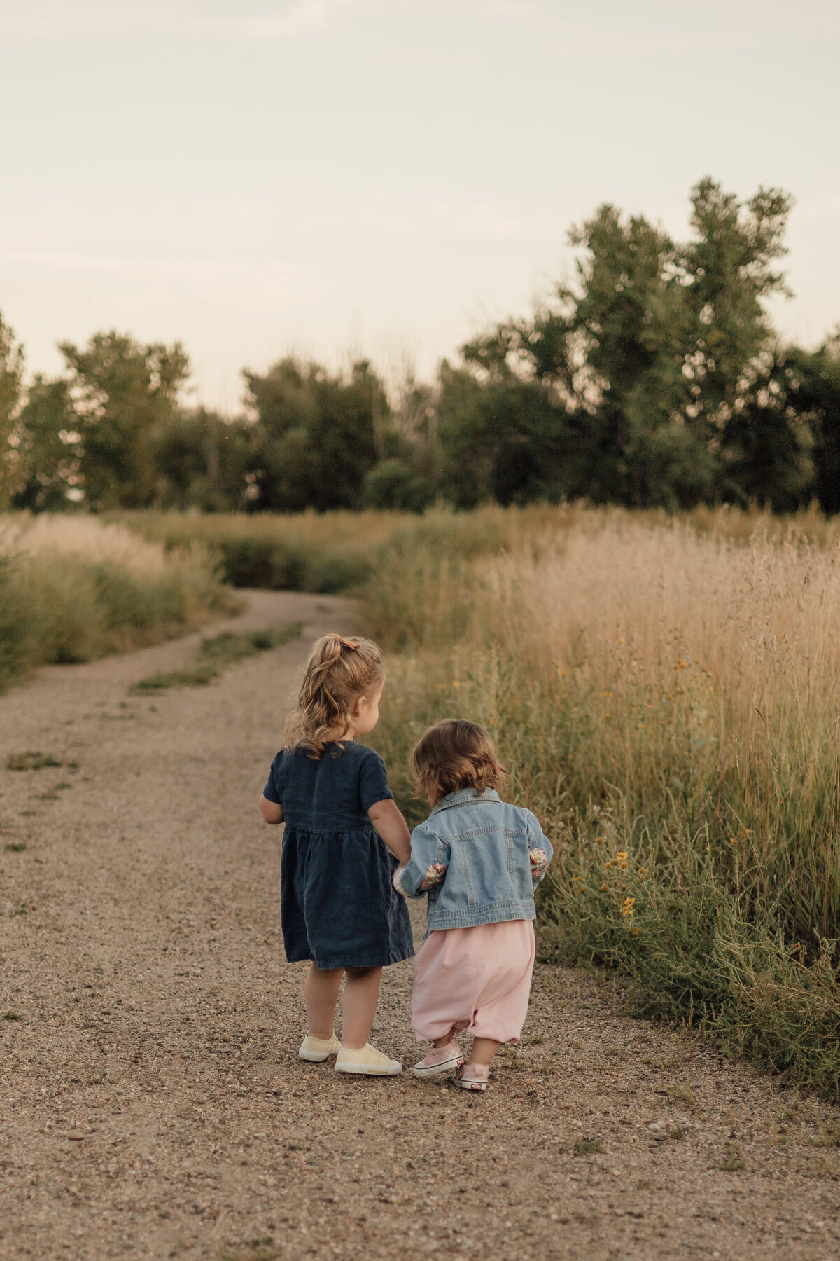 two little girls holding hands while walking away from camera in longmont colorado