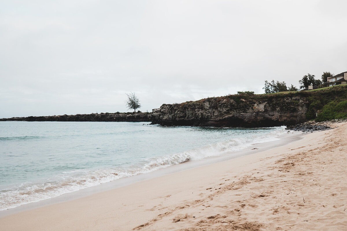 Mike&Lillian-157_websize