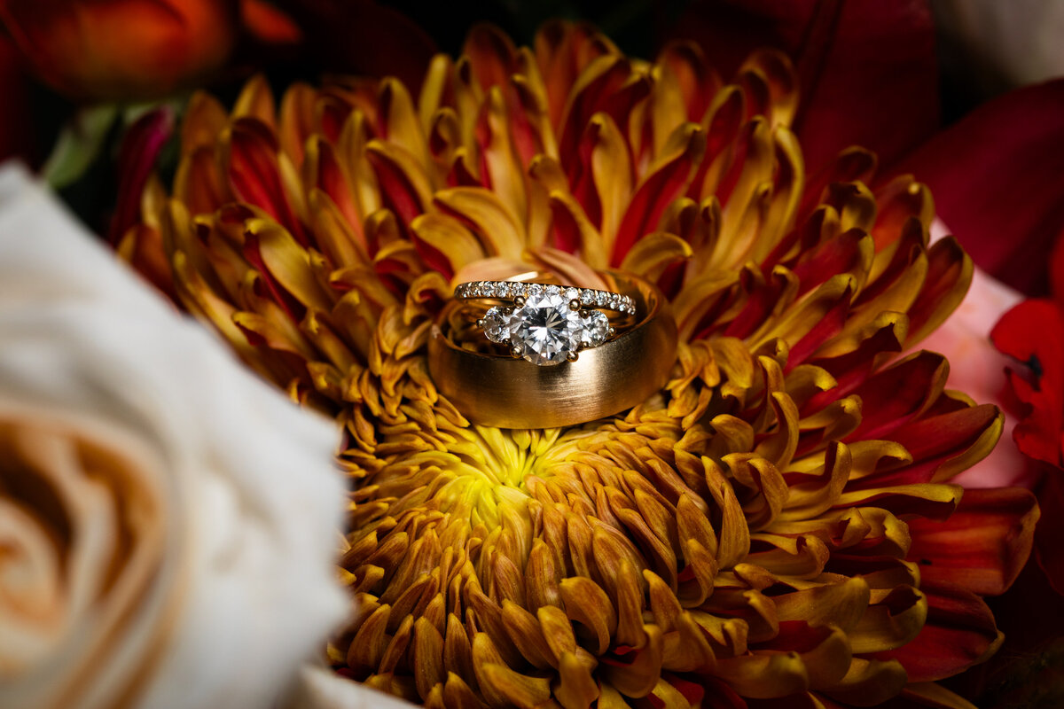Kelsey & Blake Previews-web_MTP-7812