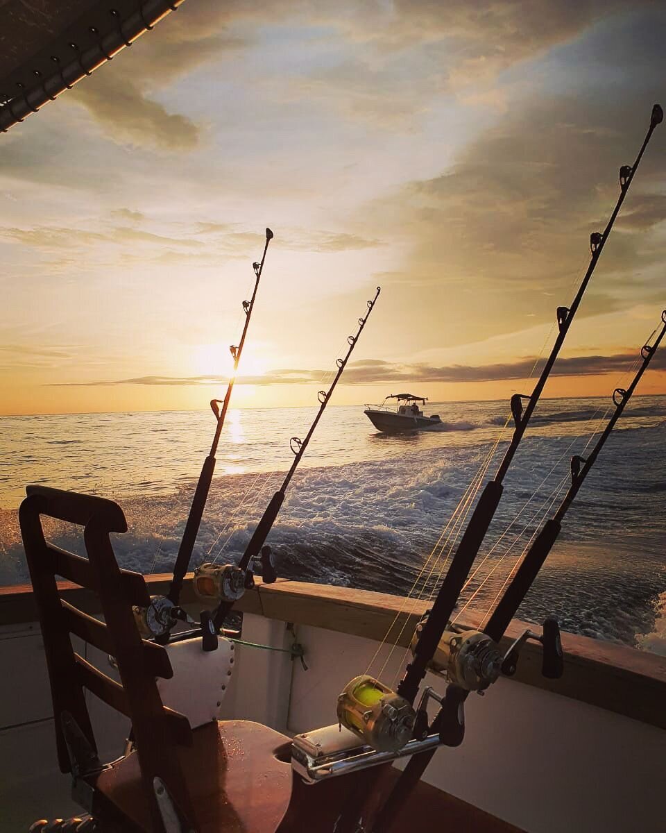 PESCA 4 web