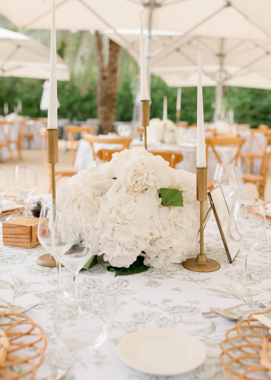 destinations-with-dana (4 of 269)