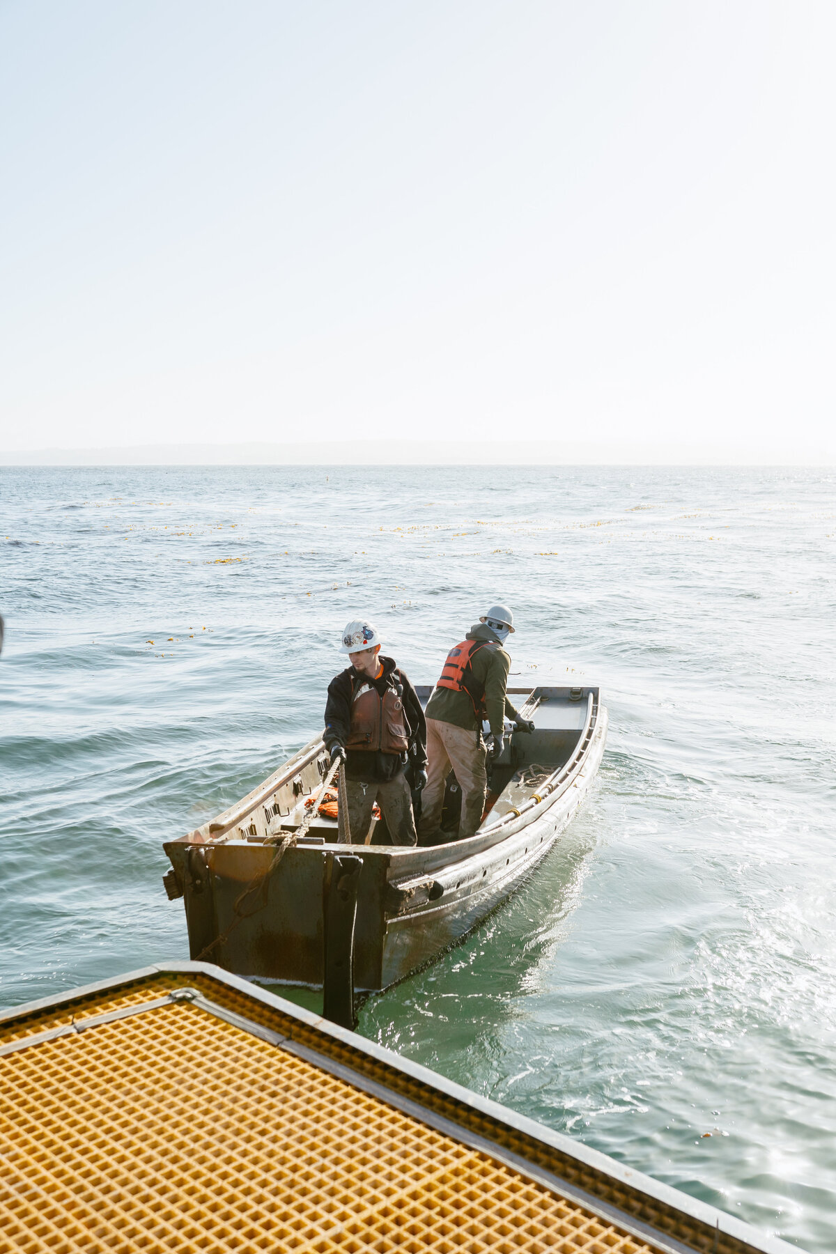 POWER_ENGINEERING_MONTEREY_BAY_AQUARIUM_PROJECT_LEFTCOASTMEDIACO-40