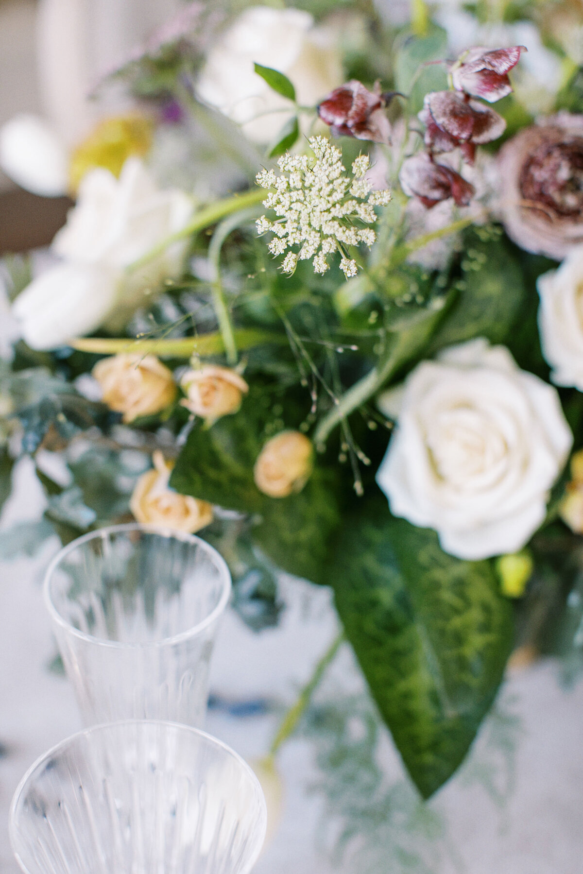 DryCreekBlossomsJodyAtkinsonPhotography_0157