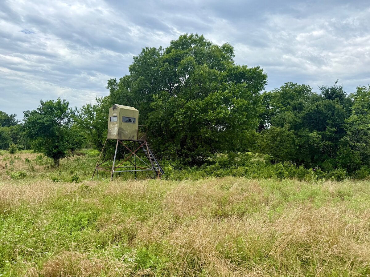 33.6 acres of treed land near Rock Creek Expansion for sale