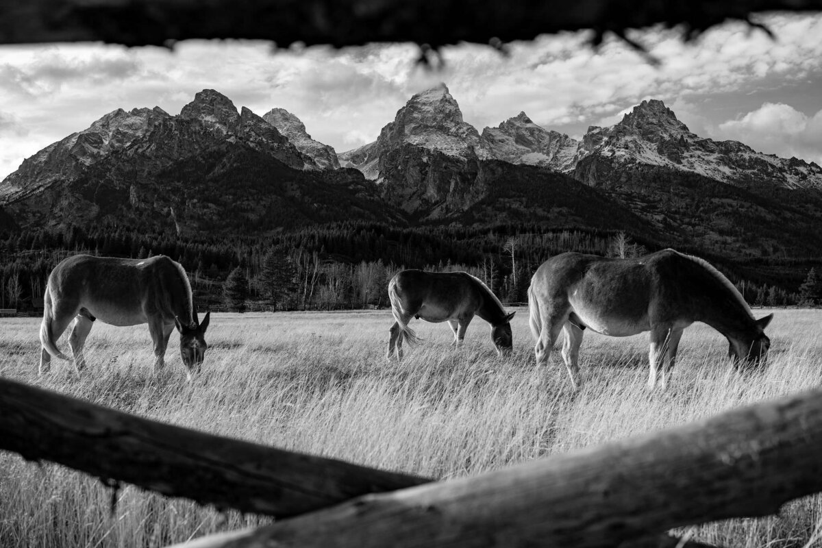 Wyoming-3