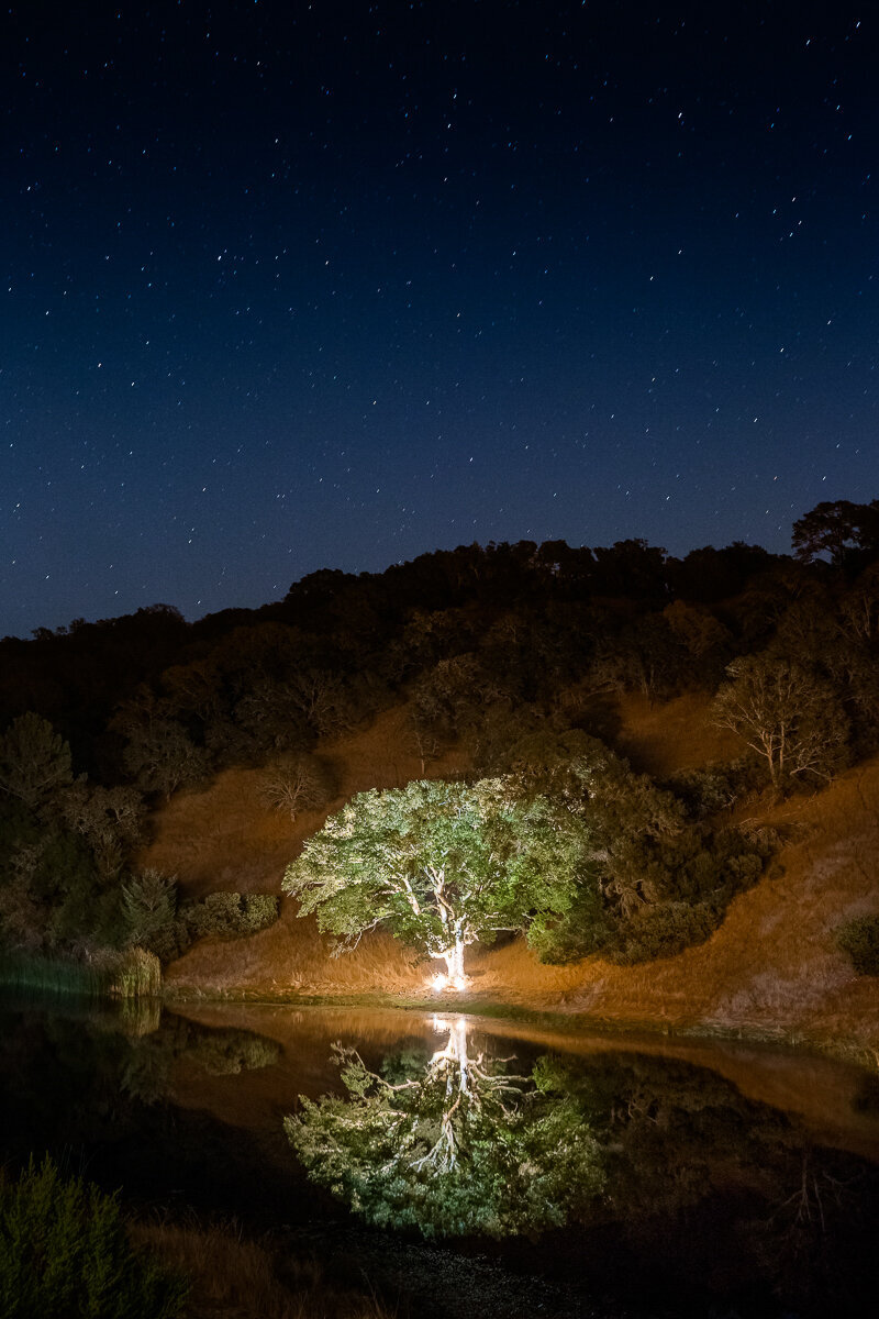 napa-wedding-photographers-dejaureguis-erin-courtney-0381