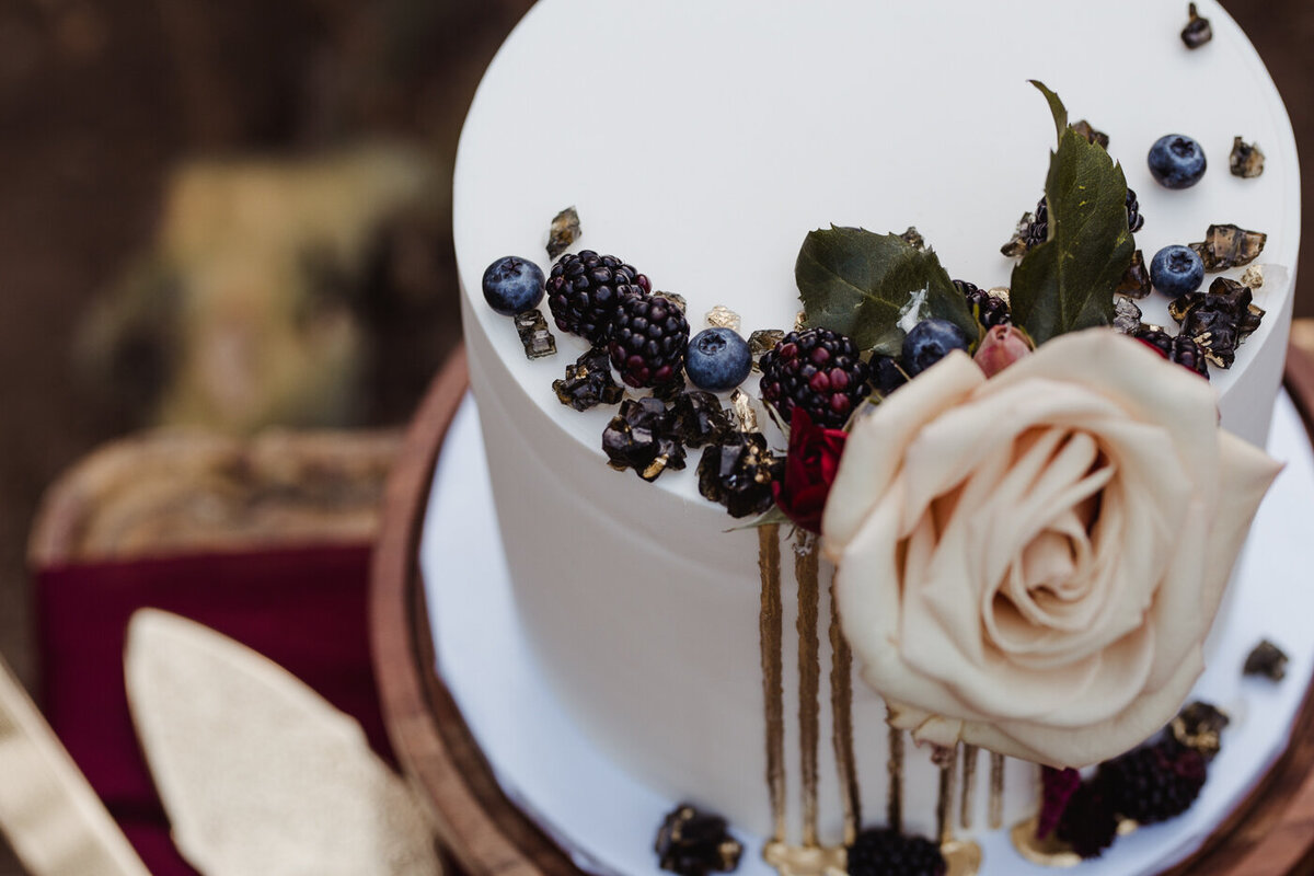 Jenny_Rolapp_Photography-132