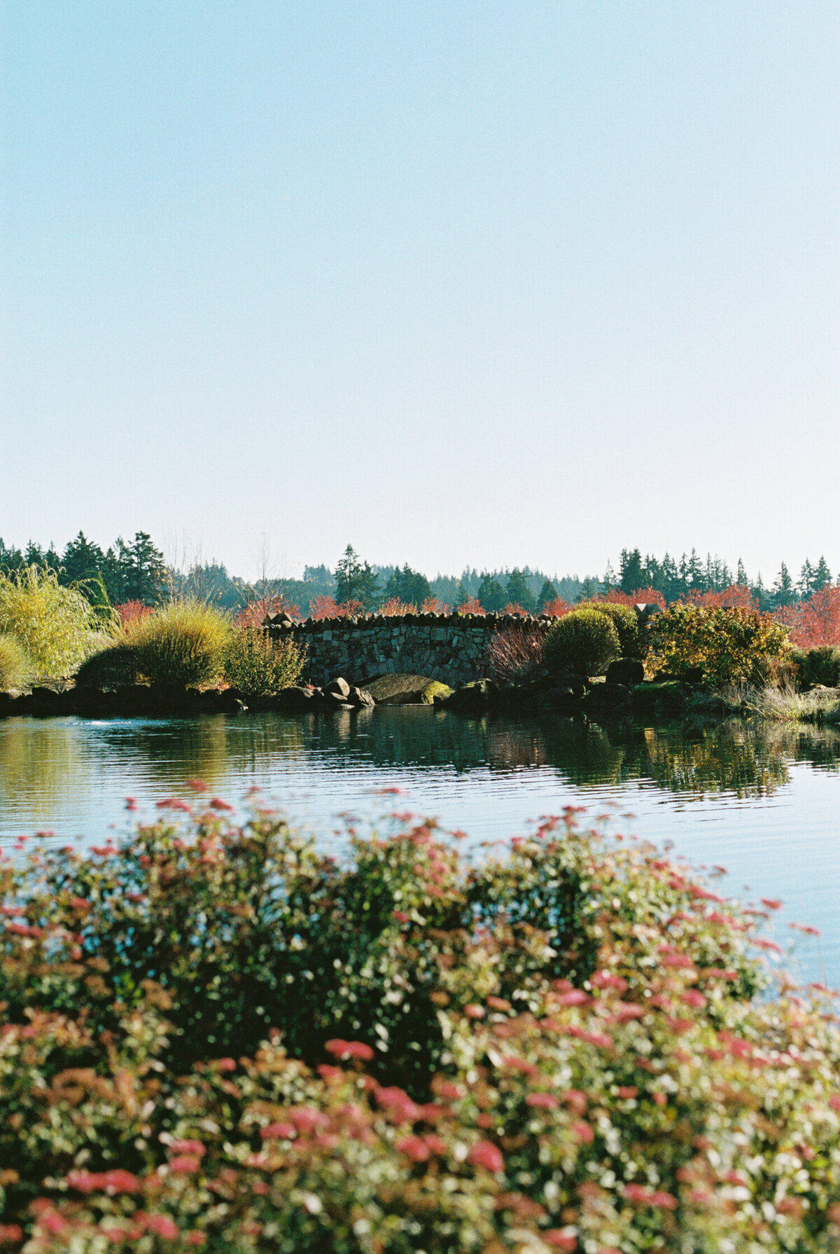 front water ponds at chateau de lis with fall colors