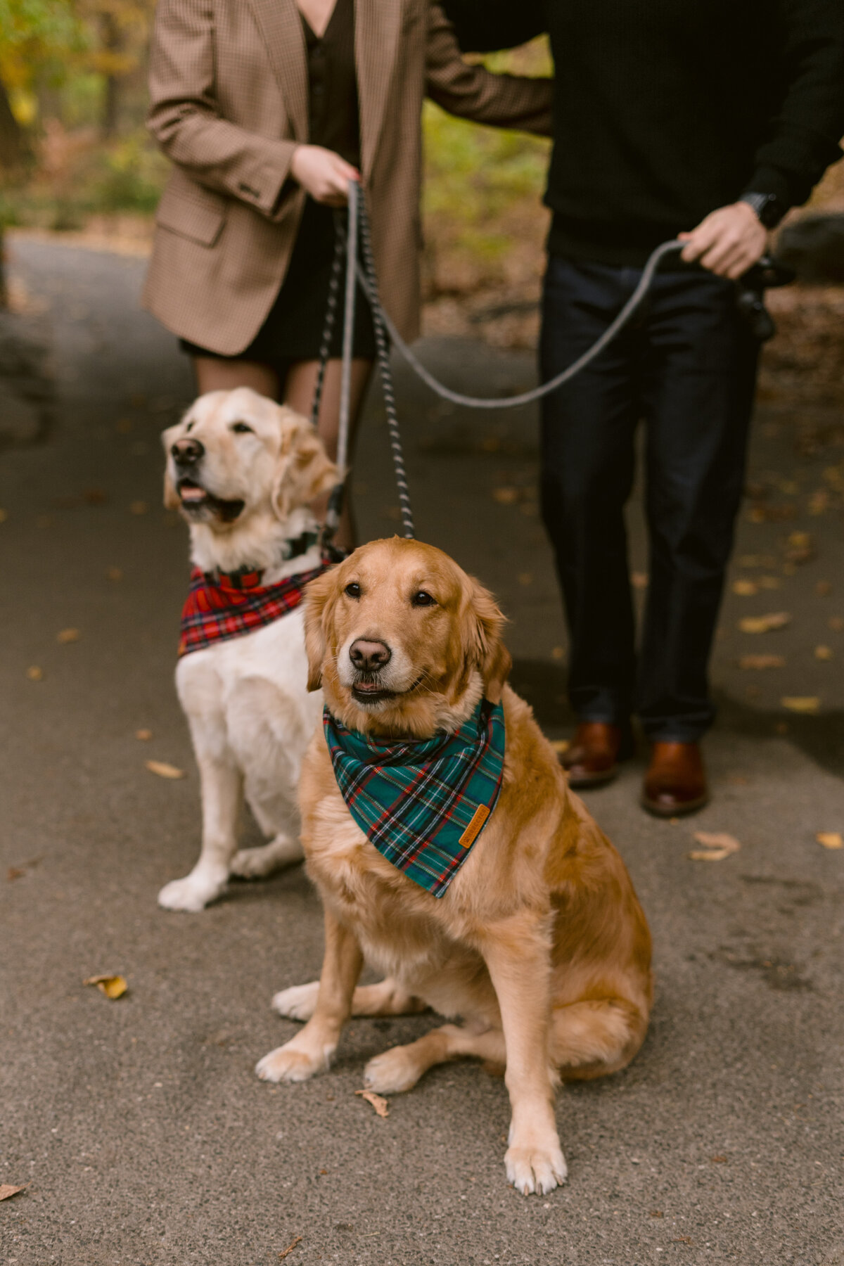 Central Park Engagement Photographer8