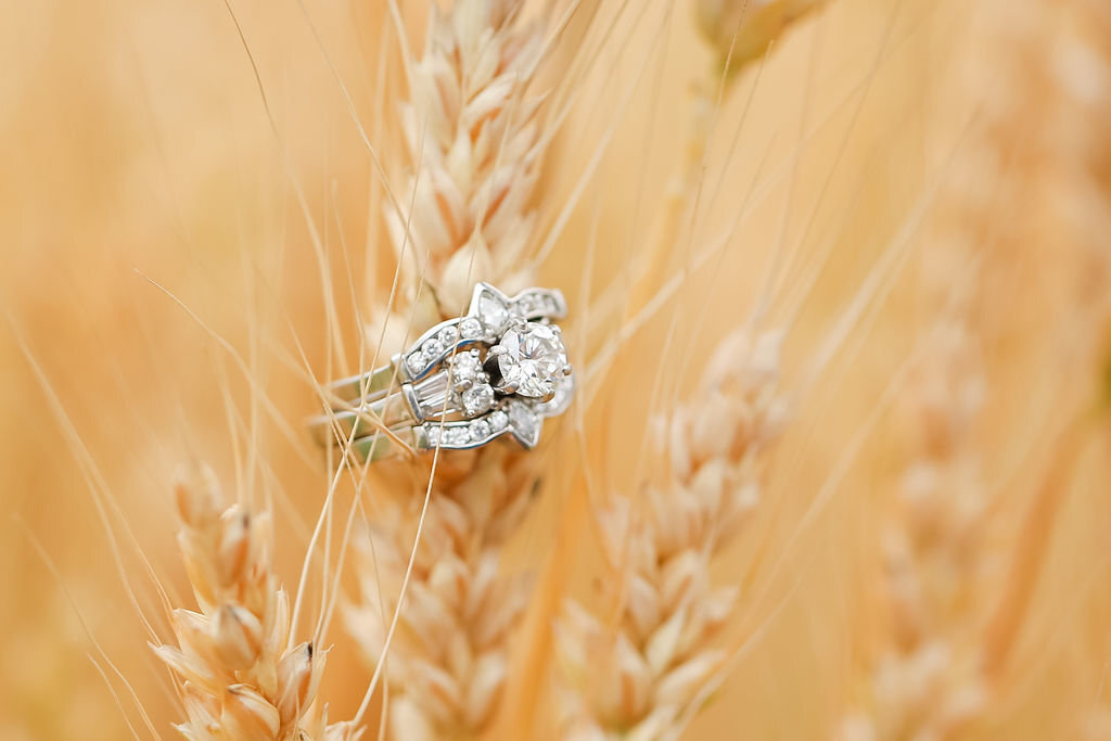 PatteuwWedding-19_u3L